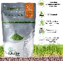 wheatgrass w 1.webp
