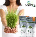 wheatgrass w 3.webp