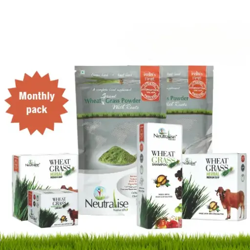 [WG-Body-02] Basic Body Kit - For Psoriasis, Eczema & Other Skin Problems